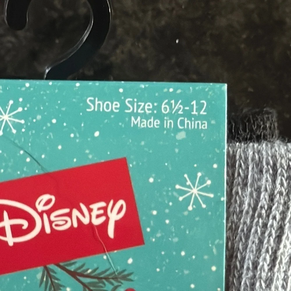 Disney celebrate holidays